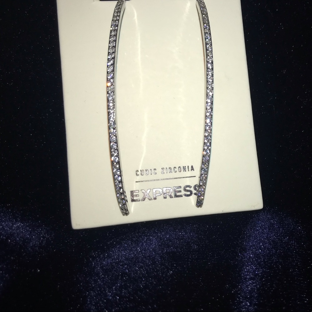 Long drop Express Earrings